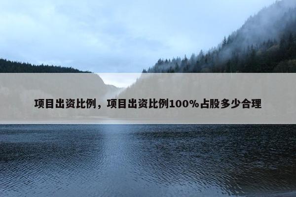 项目出资比例，项目出资比例100%占股多少合理