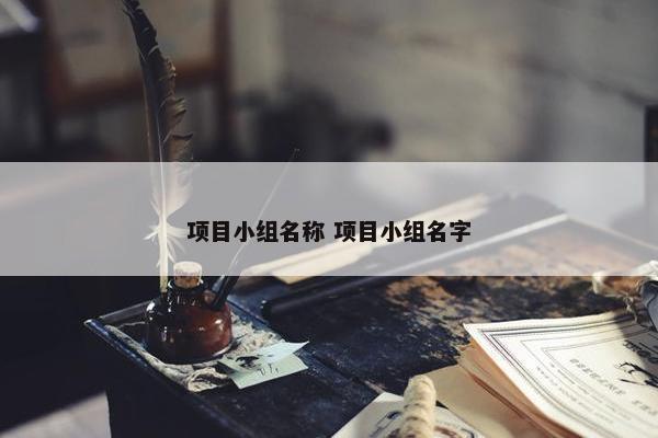 项目小组名称 项目小组名字