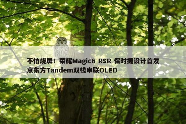 不怕烧屏！荣耀Magic6 RSR 保时捷设计首发京东方Tandem双栈串联OLED