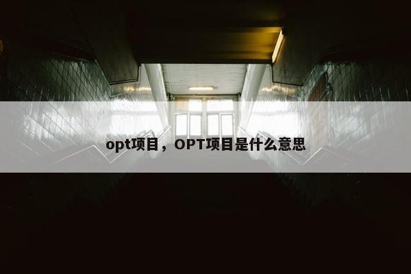 opt项目，OPT项目是什么意思