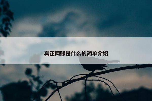 真正网赚是什么的简单介绍