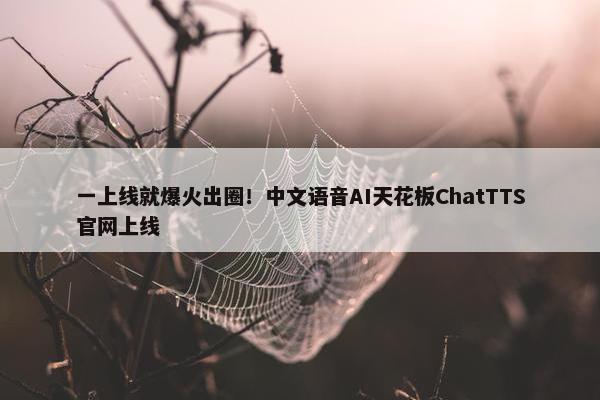 一上线就爆火出圈！中文语音AI天花板ChatTTS官网上线