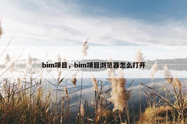 bim项目，bim项目浏览器怎么打开