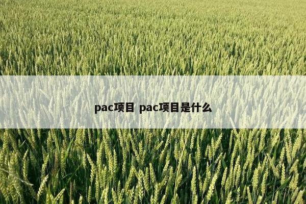 pac项目 pac项目是什么