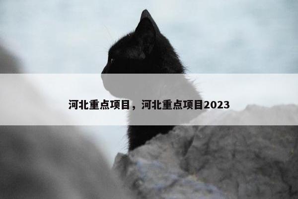 河北重点项目，河北重点项目2023