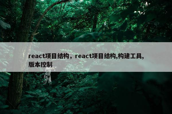 react项目结构，react项目结构,构建工具,版本控制