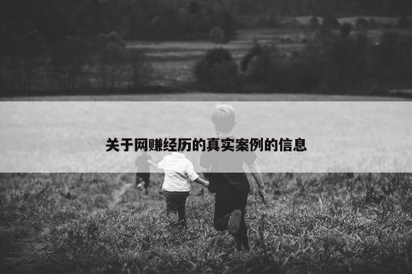 关于网赚经历的真实案例的信息