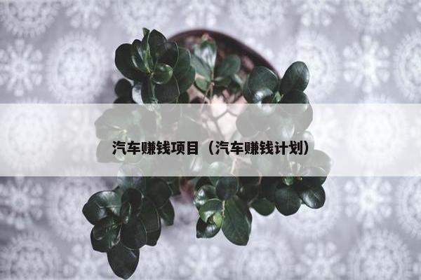 汽车赚钱项目（汽车赚钱计划）