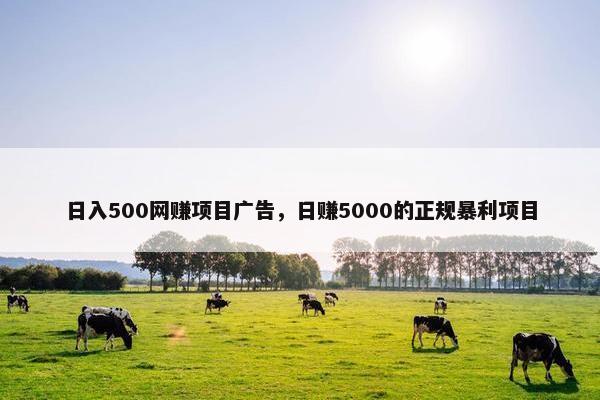 日入500网赚项目广告，日赚5000的正规暴利项目