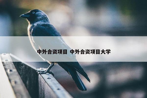 中外合资项目 中外合资项目大学