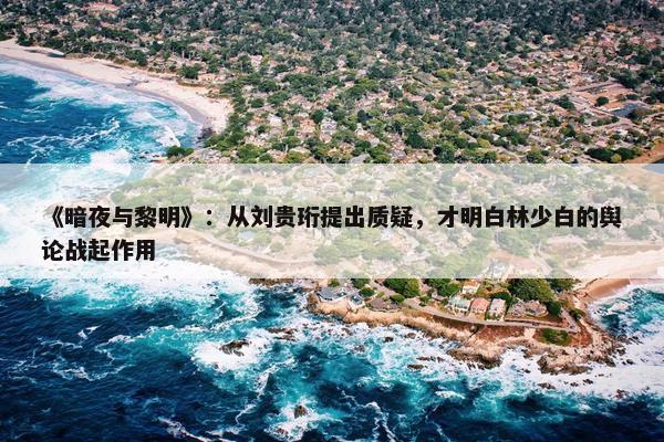 《暗夜与黎明》：从刘贵珩提出质疑，才明白林少白的舆论战起作用