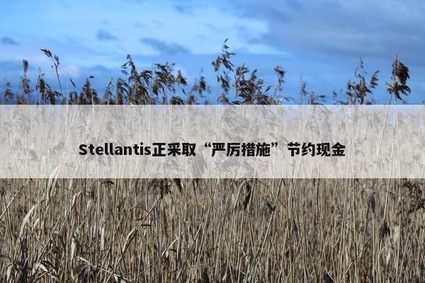 Stellantis正采取“严厉措施”节约现金